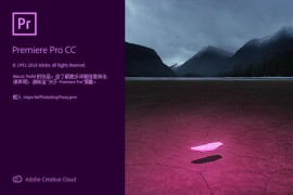 Pr CC 2019简体中文注册版(Win10版）